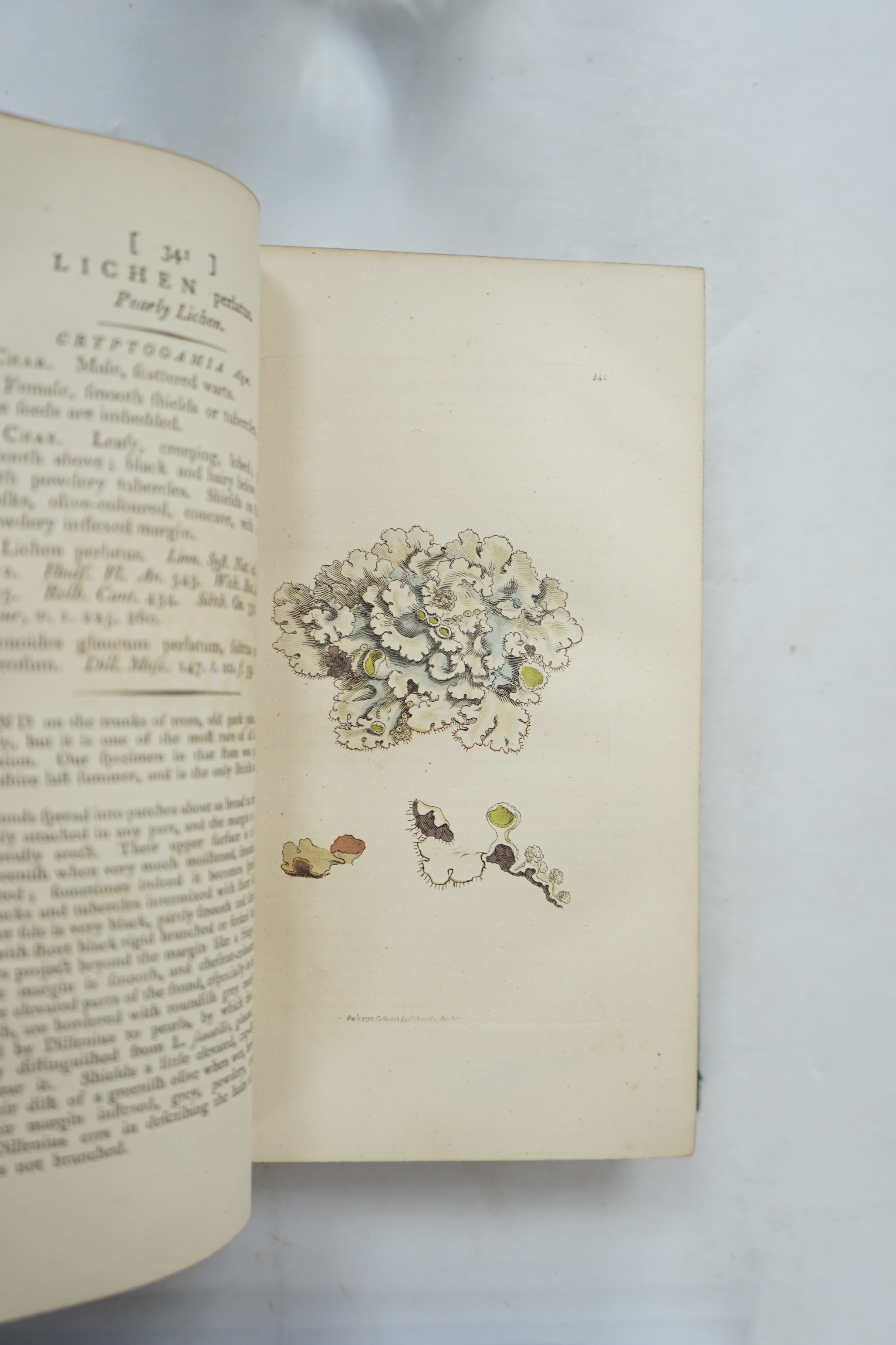 Sowerby, James and Smith, James Edward - English Botany, or, Coloured Figures of British Plants ..., 14 vols, with approximately 2,544 hand coloured plates, all randomly bound in, J. Davis, London, 1794-1802, 1804 and 18